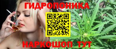 гидра Жуковский