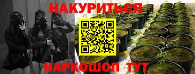 альфа пвп Заводоуковск